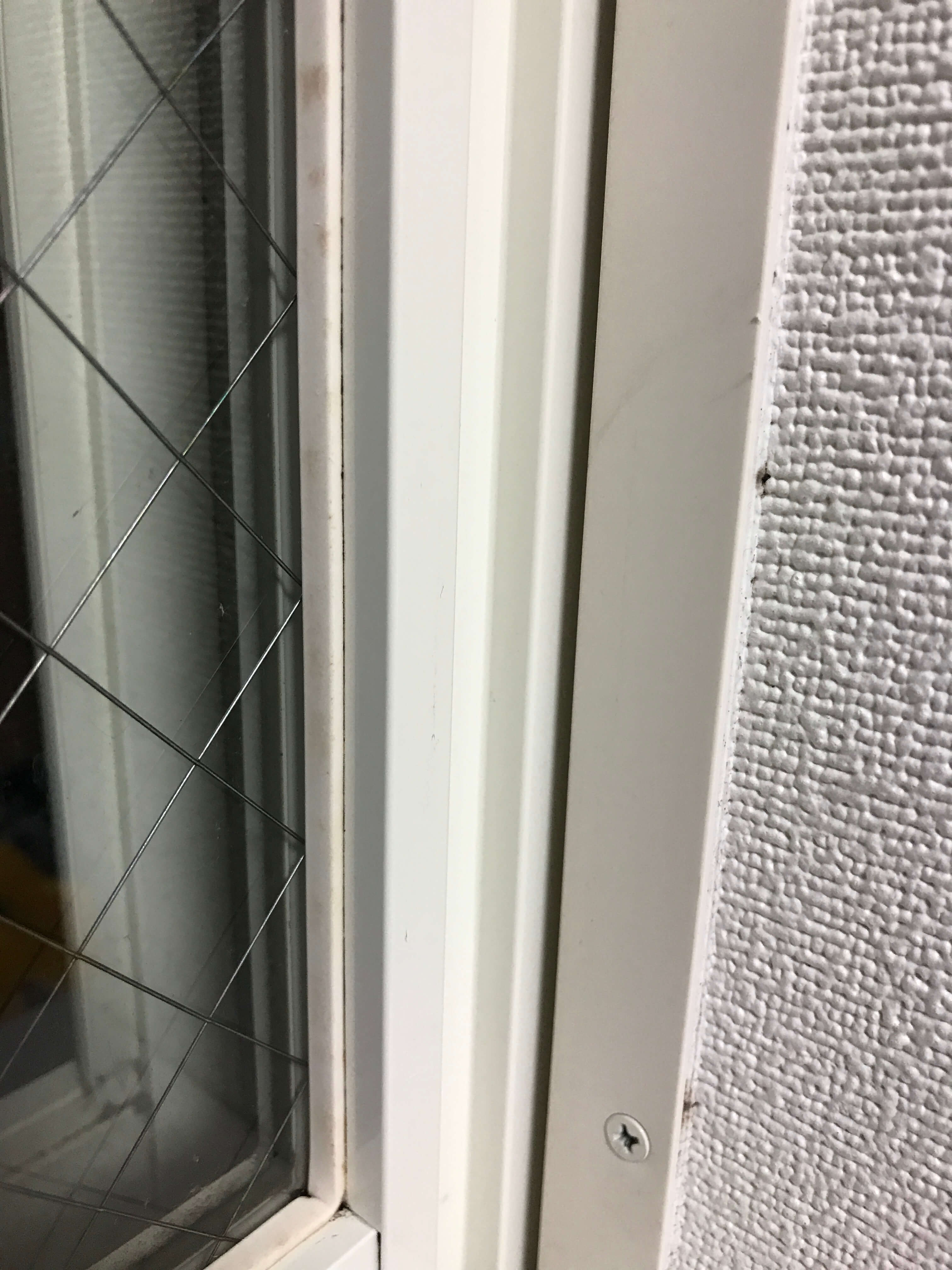 カビ取り　効果試験3